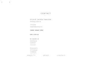 Casper Faassen homepage website preview