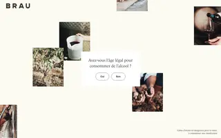 Domaine de Brau homepage website preview