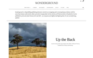 Wonderground homepage website preview