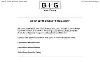 Bigzh homepage website preview