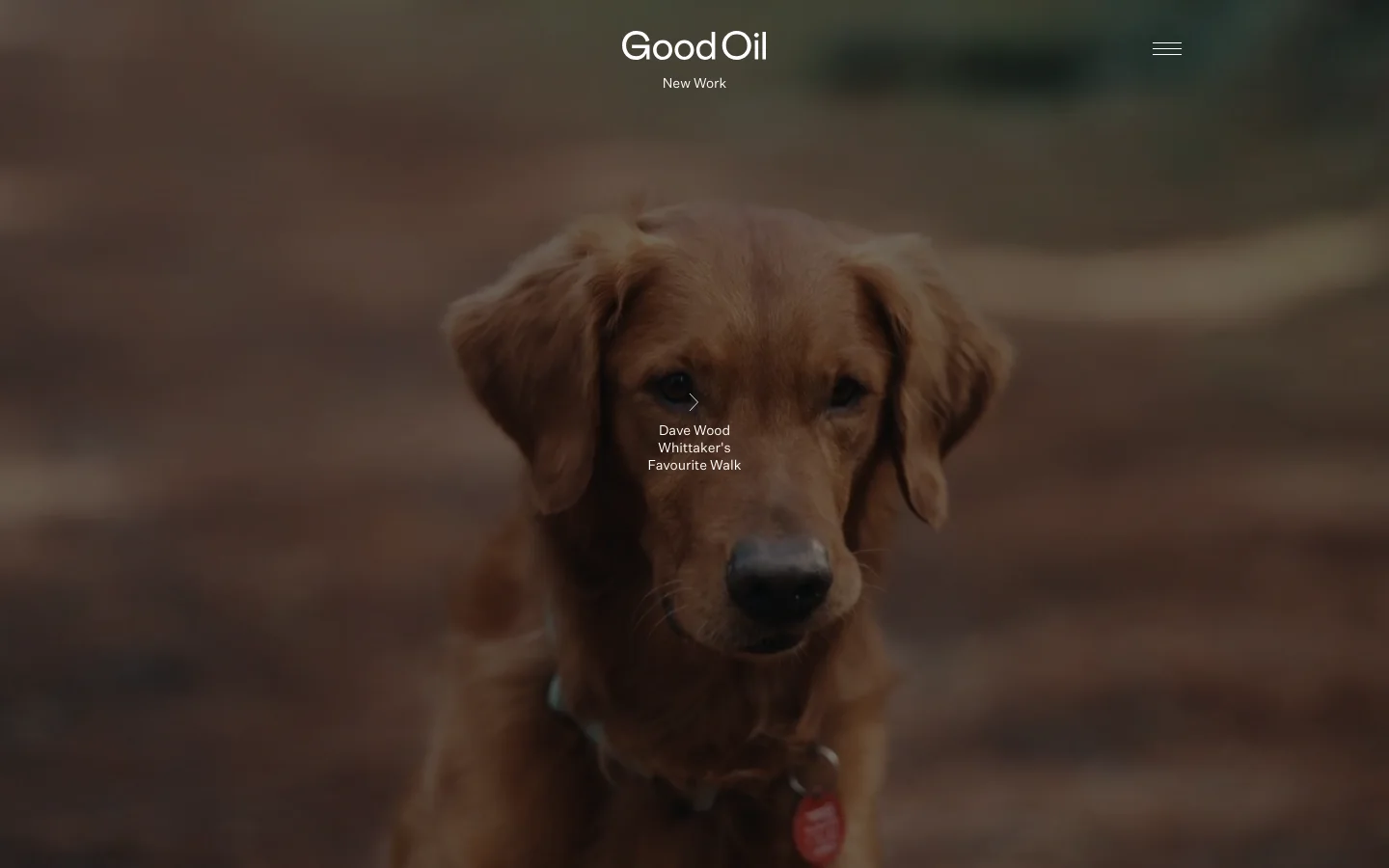 The Good Oil production company homepage features a minimalist white header with the logo and a hamburger menu. The main content consists of a large, full-width video or image hero section showcasing cinematic film stills, such as a close-up of a golden retriever, with text overlays and navigation arrows indicating 'New Work'.