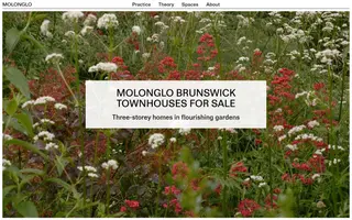 Molonglo homepage website preview