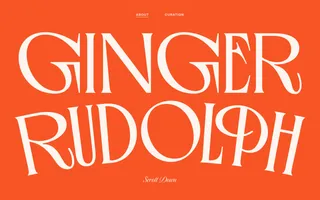 Ginger Rudolph homepage website preview