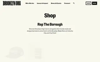Brooklyn.org homepage website preview