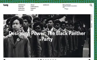 Tang Teaching Museum homepage website preview