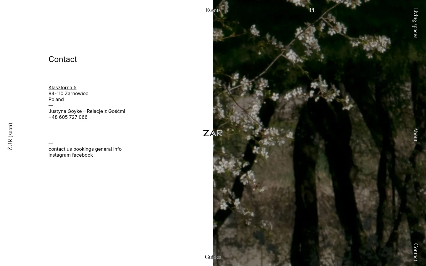 The desktop contact page features a minimalist layout with a large white space on the left containing the 'Contact' headline, address, contact person, and links for email and social media. The right side is dominated by a full-height vertical photograph of white blossoms on dark tree branches, with navigation links oriented vertically along the edges.