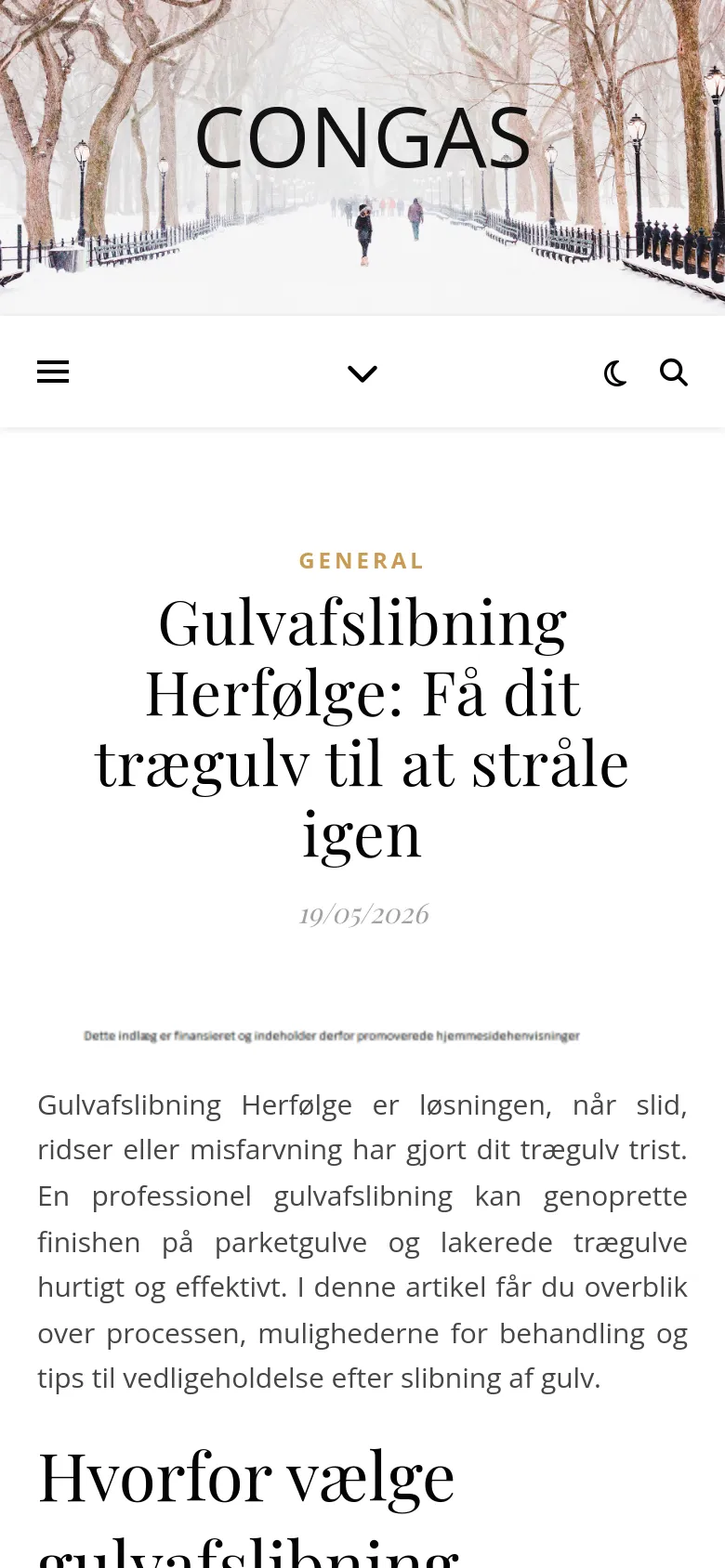 Mobile view of the blog post showing a condensed layout. The hero image of the snowy park remains at the top with 'CONGAS' text, but the navigation menu is simplified to a hamburger icon and a search icon. The article title and text are stacked vertically for easier reading on a narrow screen.