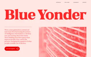 Blue Yonder homepage website preview