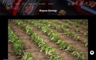 Vognyar homepage website preview