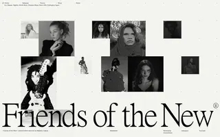 Friends of the New homepage website preview