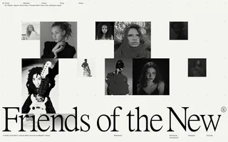 Friends of the New homepage website preview