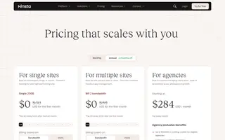 Kinsta homepage website preview