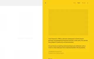 Tudor Prisăcariu homepage website preview