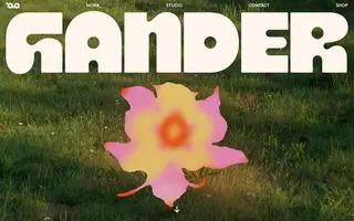 Gander homepage website preview