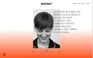 Distinct homepage website preview