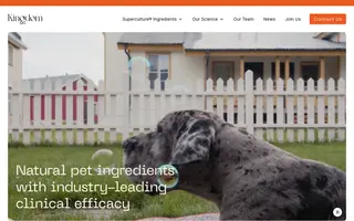 Kingdom Supercultures homepage website preview