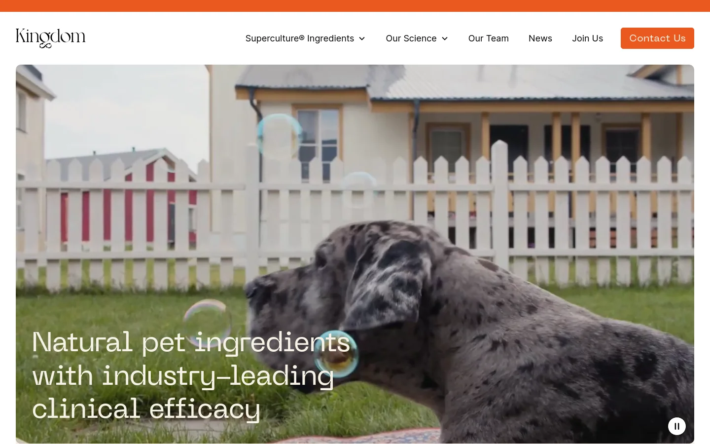 The desktop homepage features a clean, white background with a navigation menu at the top and an orange 'Contact Us' button. A large hero section displays a high-quality image of a dog in a backyard with bubbles, overlaid with the headline 'Natural pet ingredients with industry-leading clinical efficacy.'
