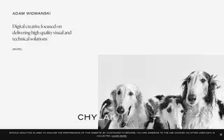 Adam Widmanski homepage website preview
