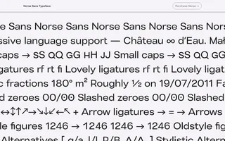 Norse Sans homepage website preview