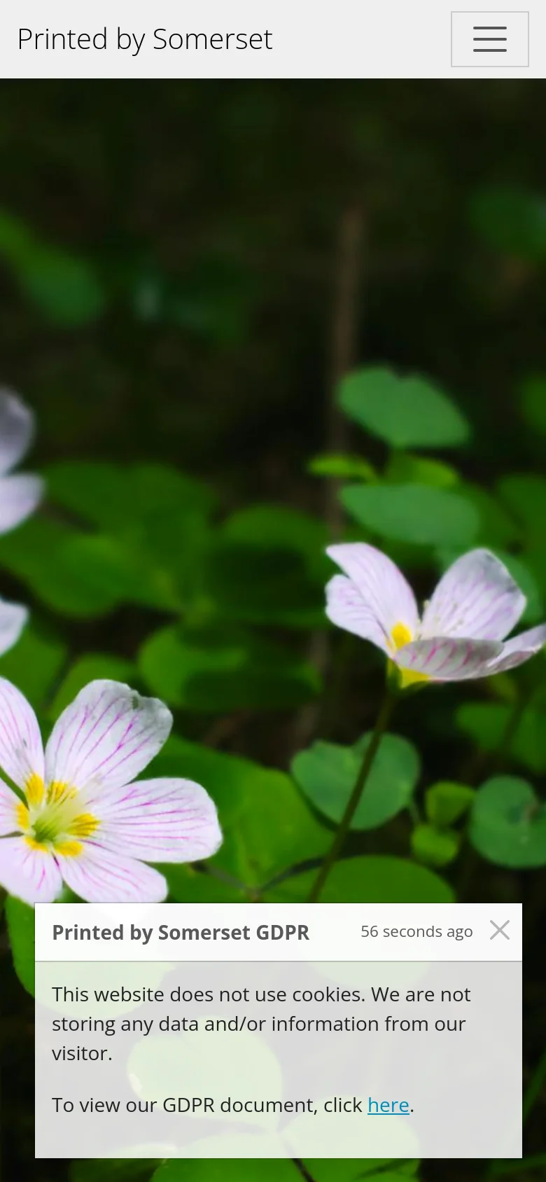 The mobile version presents a simplified layout with a hamburger menu icon in the header. The hero image of pink wildflowers remains the central focus, filling the screen, while the GDPR notification pop-up is positioned prominently at the bottom of the viewport.