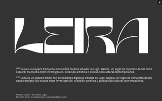 Leira homepage website preview
