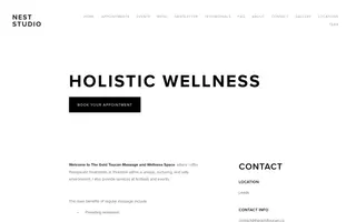 Nest Studio homepage website preview