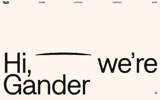 Gander homepage website preview