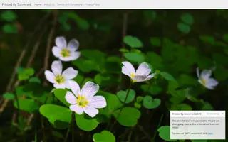 Printed by Somerset homepage website preview