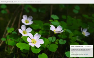 Printed by Somerset homepage website preview
