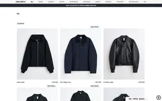 Sunflower homepage website preview