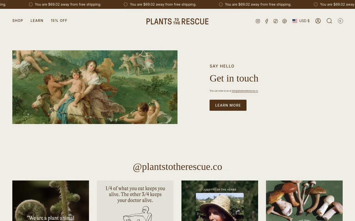 The desktop contact page features a large hero image on the left showing a classical painting of figures in a lush landscape. To the right, the text 'SAY HELLO' and 'Get in touch' appears above an email address and a dark brown 'LEARN MORE' button. The layout is clean with a white background and a navigation bar at the top containing social icons and a shopping cart.