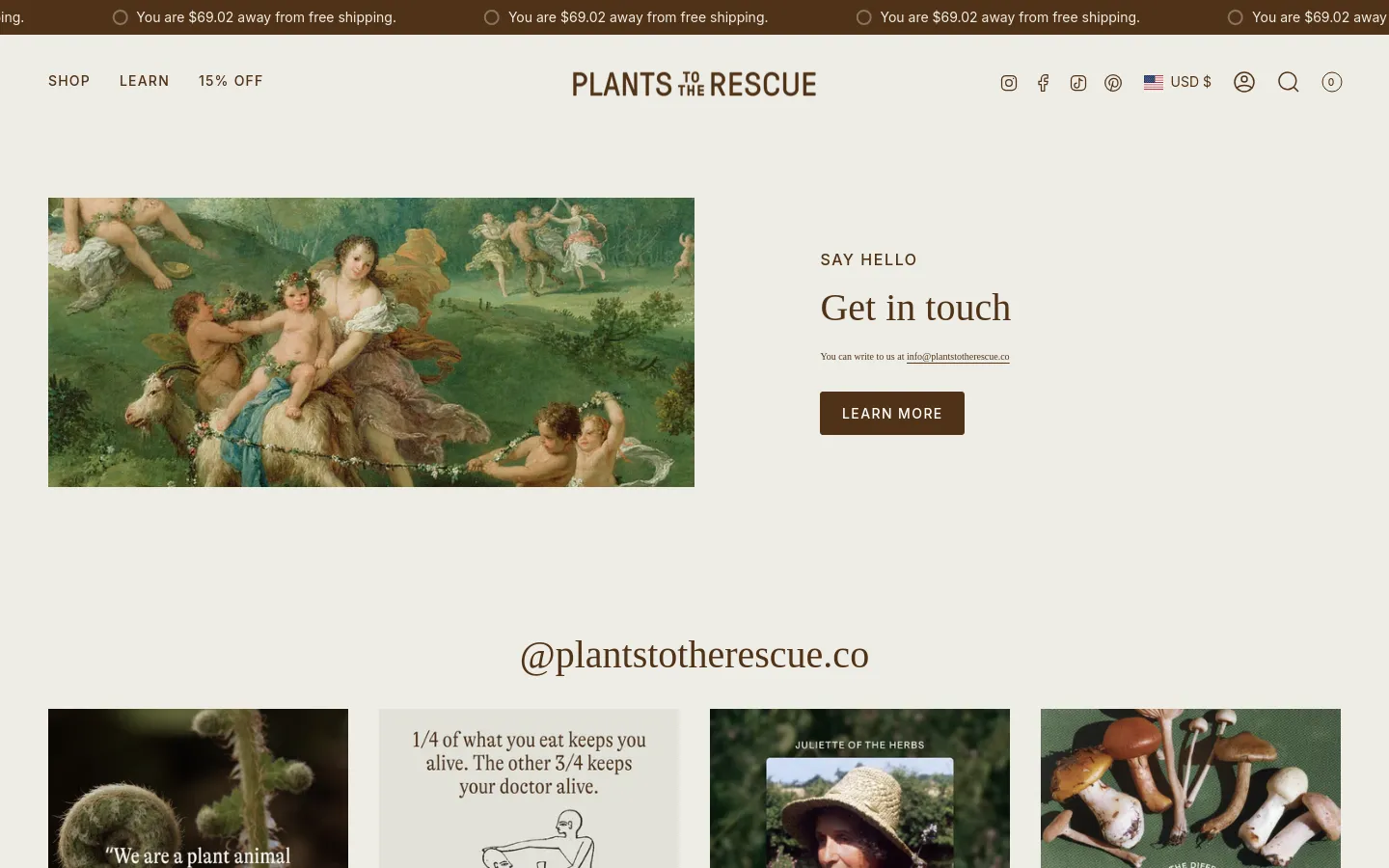 The desktop contact page features a large hero image on the left showing a classical painting of figures in a lush landscape. To the right, the text 'SAY HELLO' and 'Get in touch' appears above an email address and a dark brown 'LEARN MORE' button. The layout is clean with a white background and a navigation bar at the top containing social icons and a shopping cart.