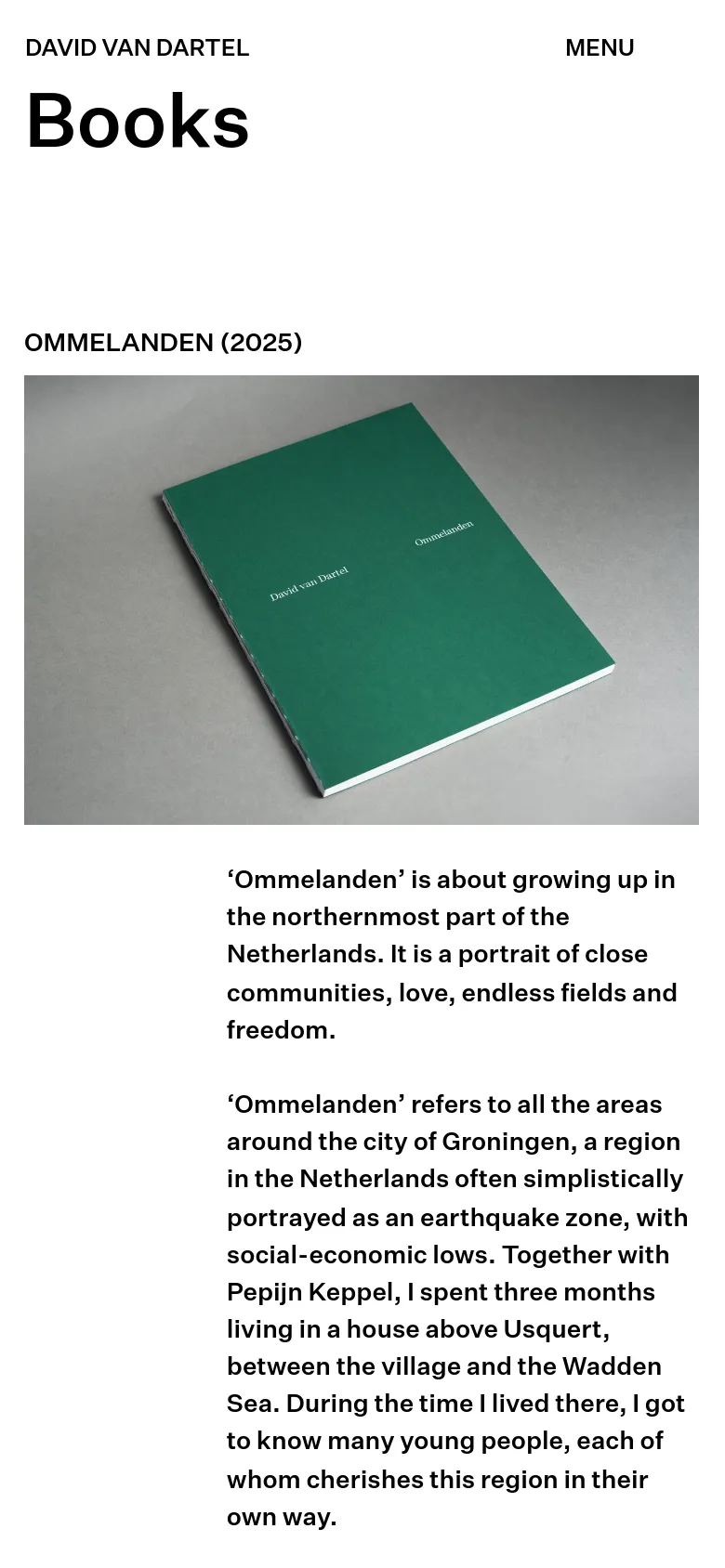 The mobile version uses a single-column vertical layout with the 'Books' headline at the top. The content flows linearly, showing the book title, a large hero image of the green book, and the descriptive text below it, removing the side-by-side table structure seen on desktop.