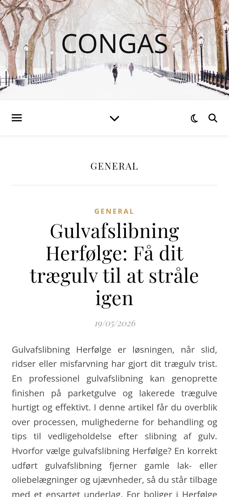The mobile version presents a vertically stacked layout, starting with the same snowy park hero image and 'CONGAS' logo. The navigation menu is condensed, and the main article title and text occupy the full width of the screen for easier reading. The design maintains the white and black color scheme, focusing on a single-column flow for the content.