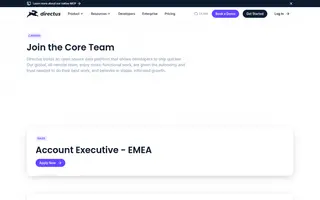 Directus homepage website preview