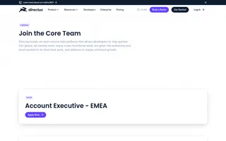 Directus homepage website preview