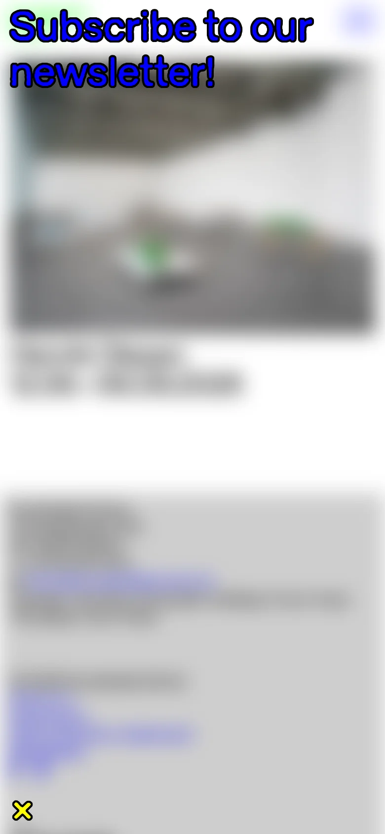 The mobile version shows a vertically oriented view of the same art installation hero image, with the 'Subscribe to our newsletter!' pop-up dominating the screen. The layout is condensed, with the newsletter text appearing at the top and the close icon located at the bottom left of the screen.