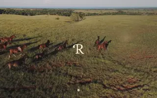 R Collective homepage website preview