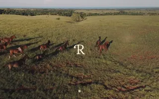 R Collective homepage website preview
