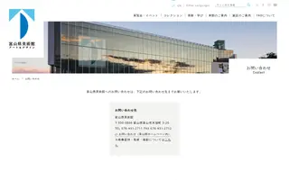 TAD Toyama homepage website preview