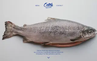 Catch Fish & Chips homepage website preview