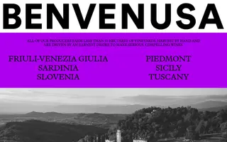 Benvenusa homepage website preview