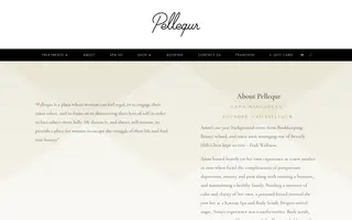 Pellequr homepage website preview