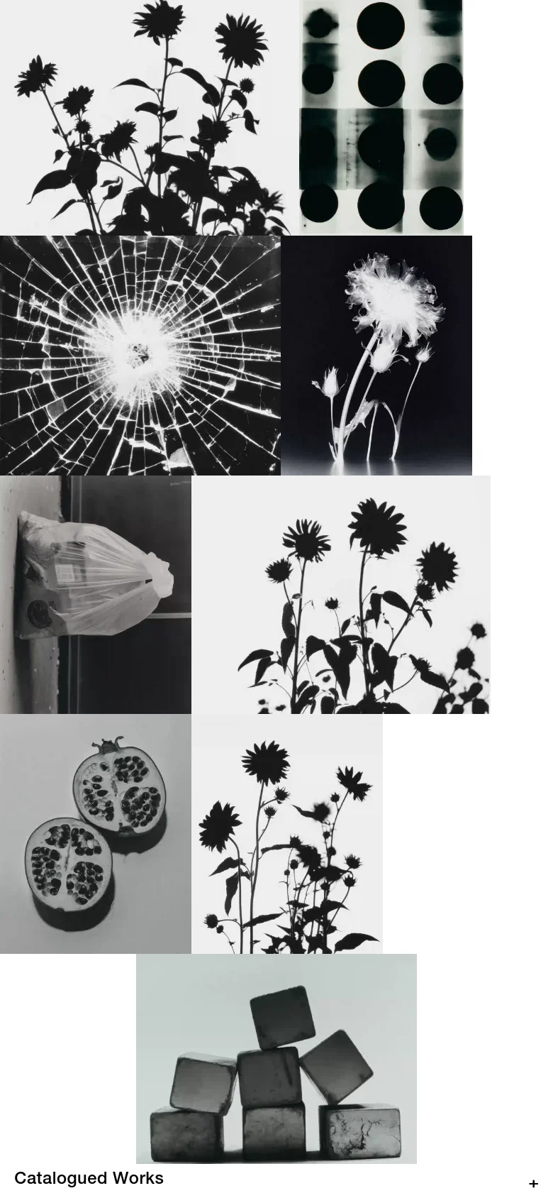 The mobile version maintains the black and white theme but presents the abstract photographic imagery in a more condensed, vertical scrolling format. The text content is streamlined, and the navigation links are simplified into a compact menu at the bottom of the screen to accommodate the smaller viewport.