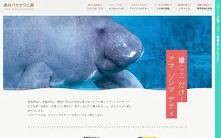 Bananawani homepage website preview