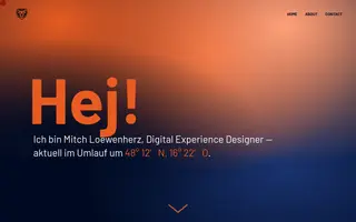 Mitch Loewenherz homepage website preview