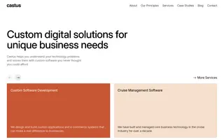 Castus homepage website preview