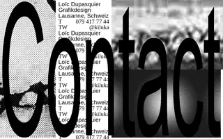 Loïc Dupasquier homepage website preview