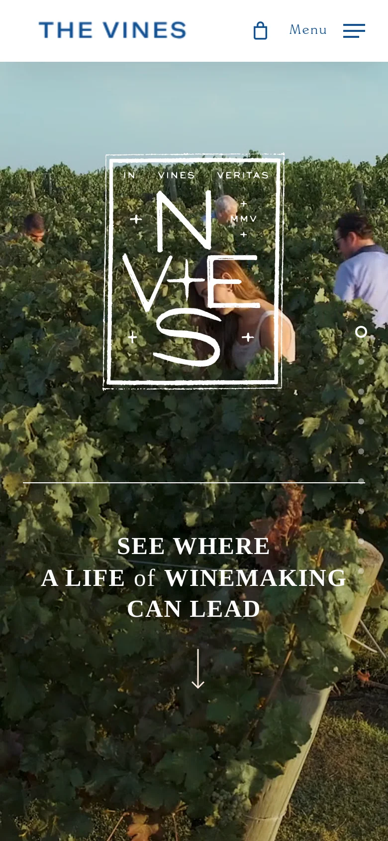 The mobile version displays the same vineyard hero image and central white typography, but the navigation is simplified. The brand name 'THE VINES' is prominent at the top left, with a hamburger menu icon and a shopping bag icon positioned to the right for easier touch interaction.