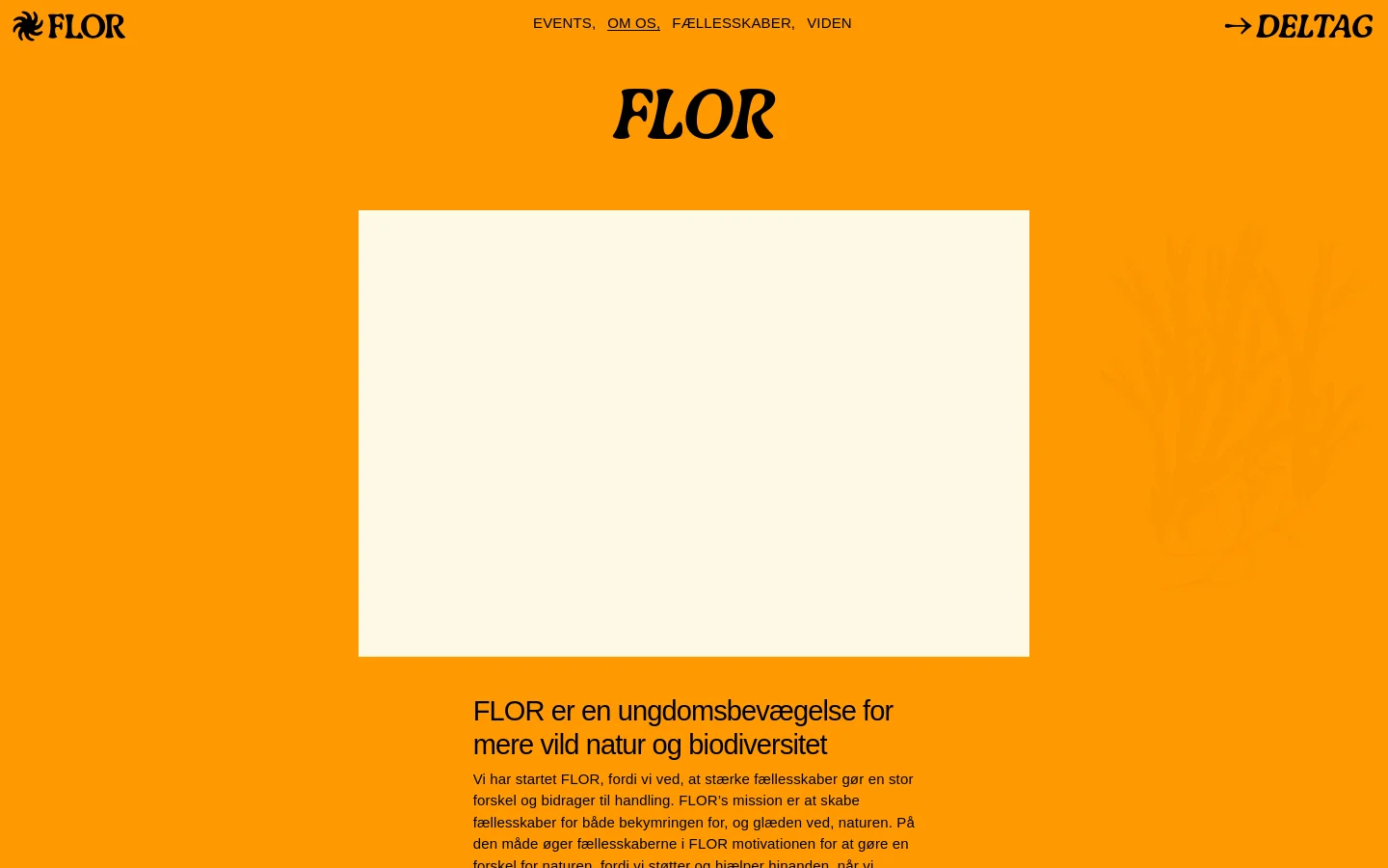 FLOR About Us desktop website screenshot
